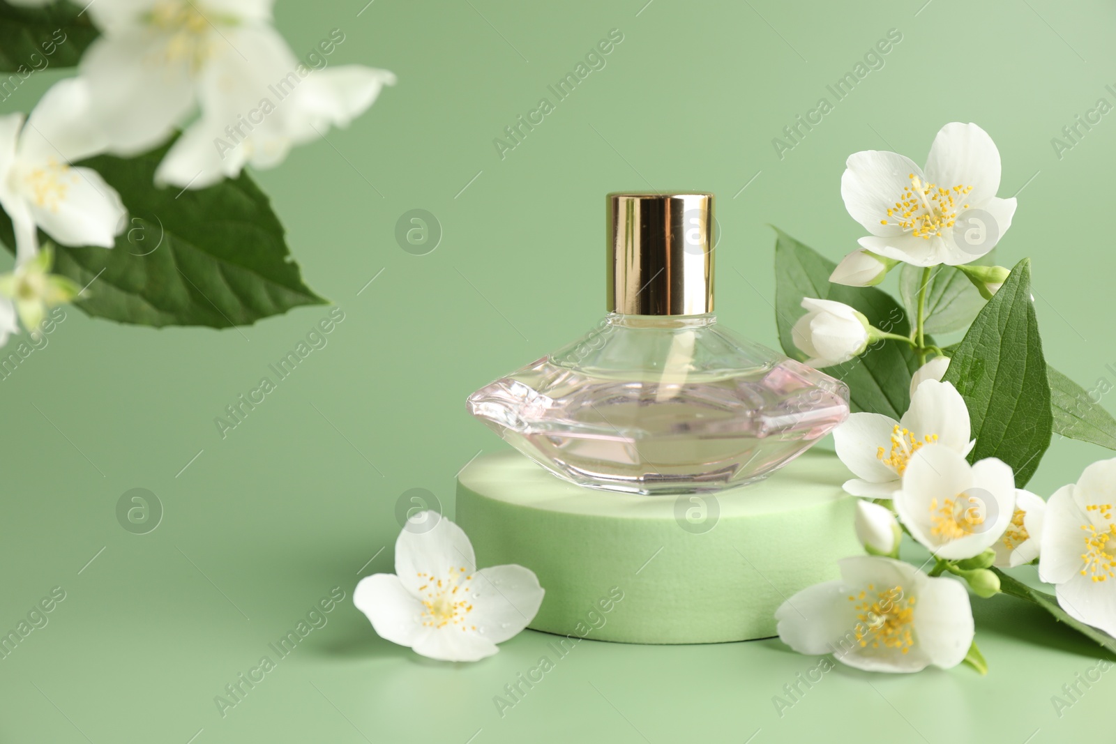 Bottle of perfume and jasmine flowers on green background, closeup Photo of Bottle of perfume and jasmine flowers on green background, closeup