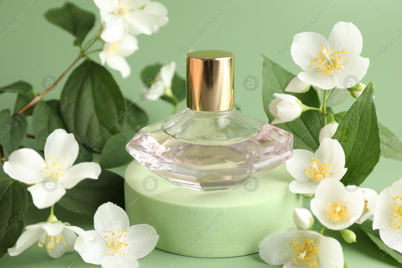 Bottle of perfume and jasmine flowers on green background, closeup Photo of Bottle of perfume and jasmine flowers on green background, closeup