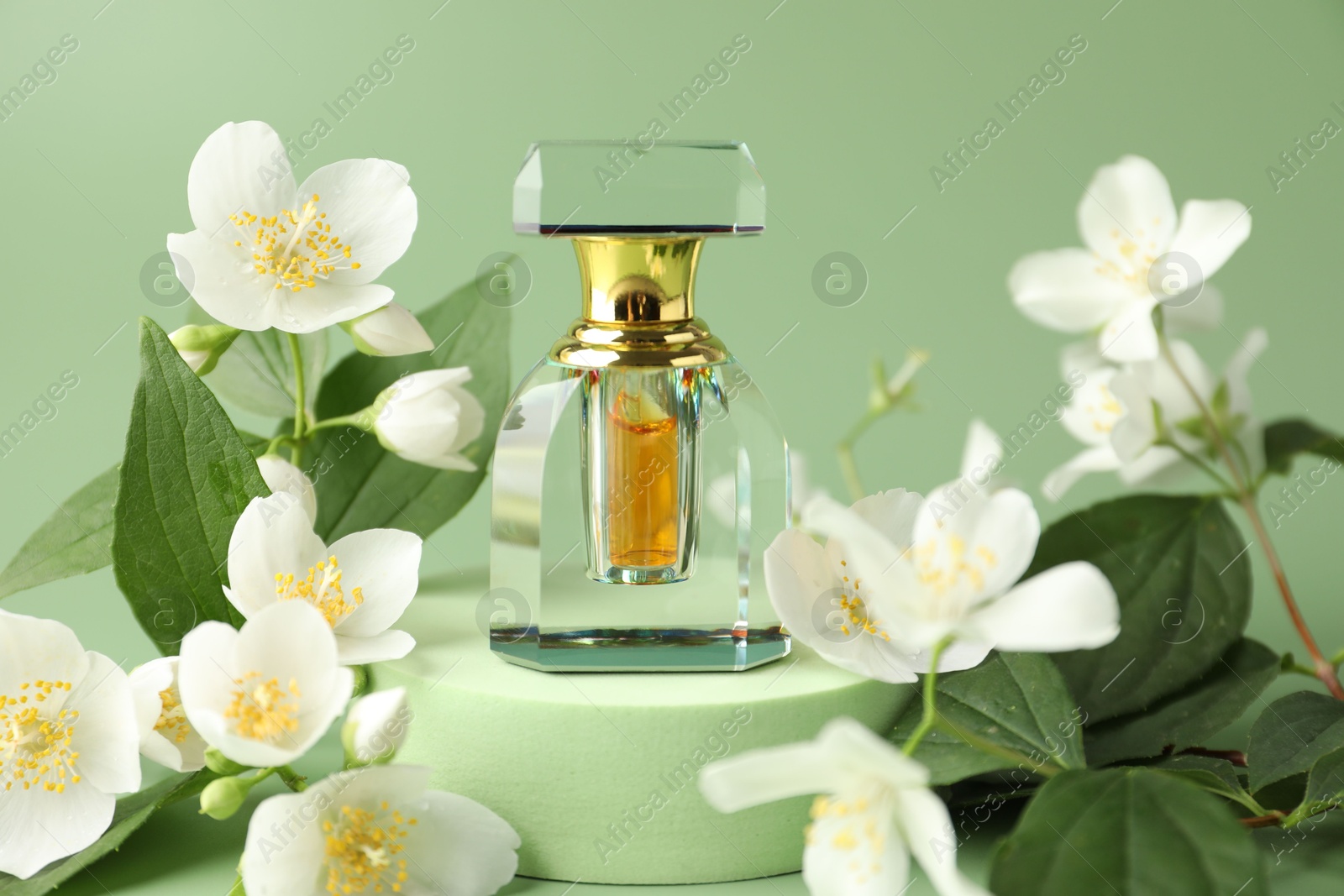 Bottle of perfume and jasmine flowers on green background, closeup Photo of Bottle of perfume and jasmine flowers on green background, closeup