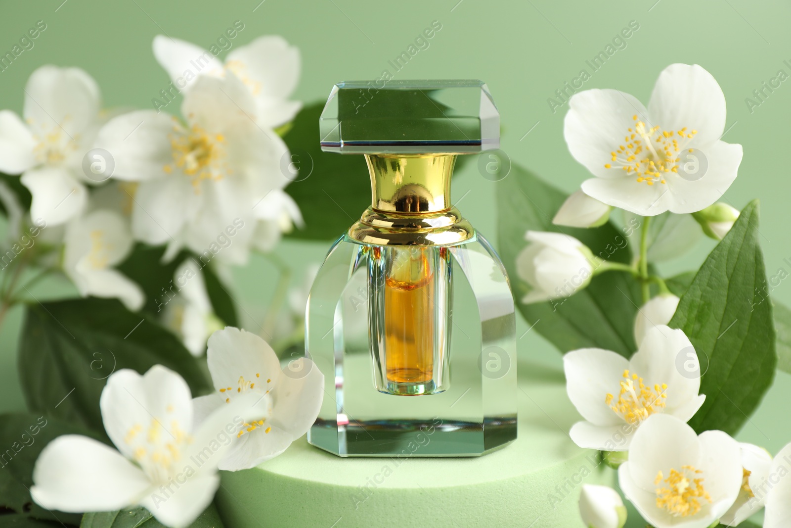 Bottle of perfume and jasmine flowers on green background, closeup Photo of Bottle of perfume and jasmine flowers on green background, closeup