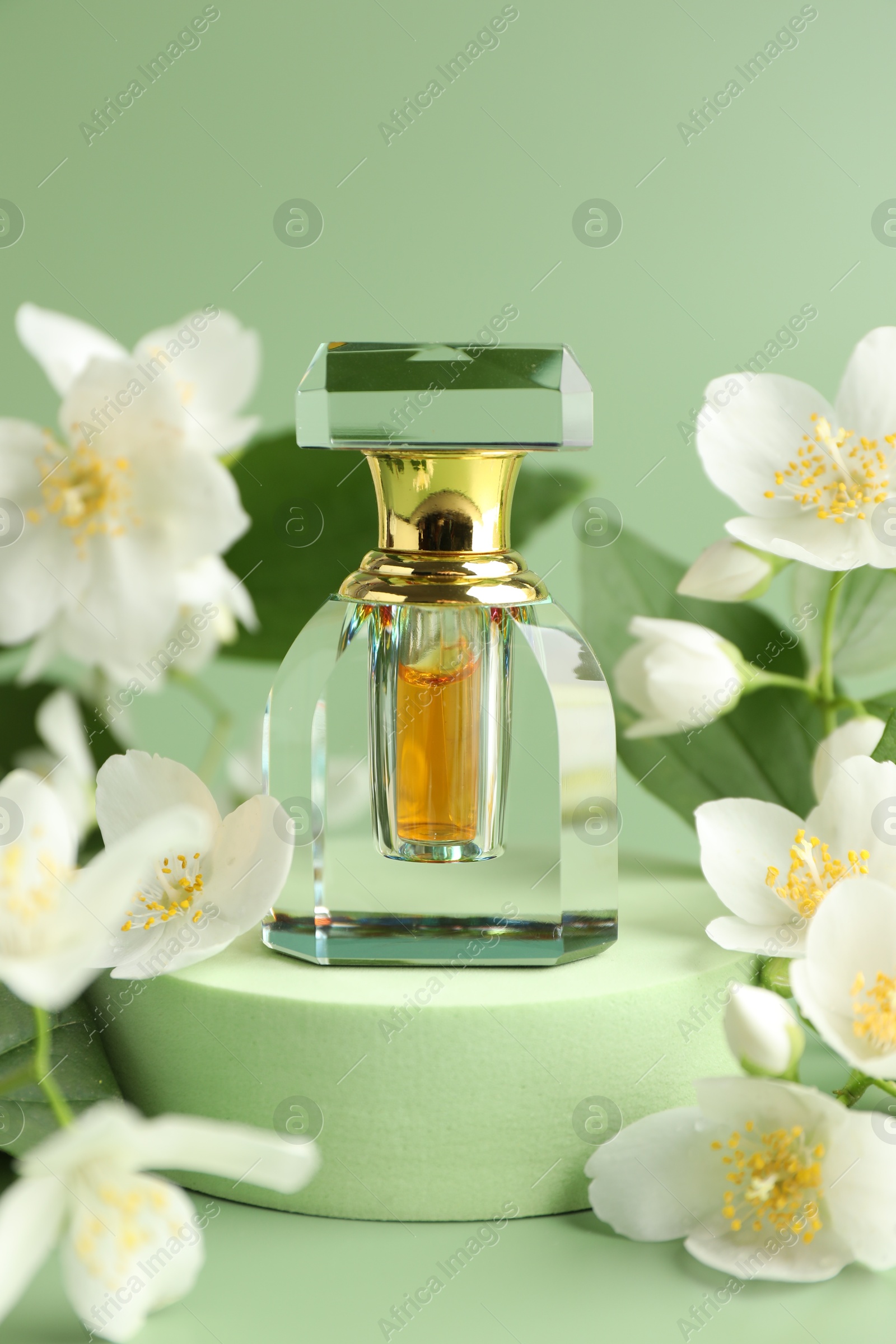 Bottle of perfume and jasmine flowers on green background, closeup Photo of Bottle of perfume and jasmine flowers on green background, closeup
