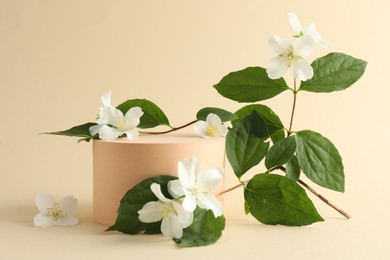 Photo of Beautiful jasmine flowers with leaves on beige background