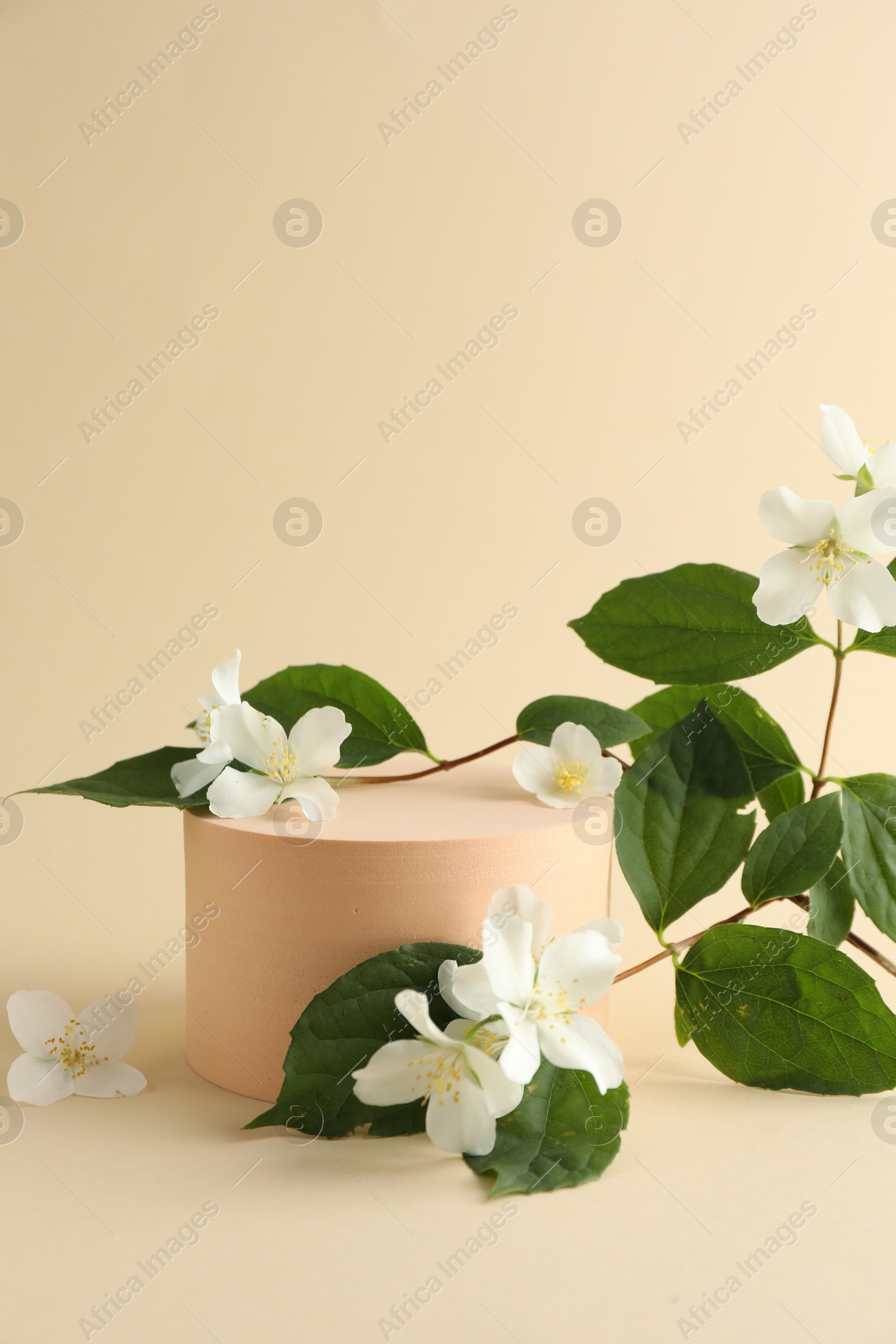 Beautiful jasmine flowers with leaves on beige background. Space for text Photo of Beautiful jasmine flowers with leaves on beige background. Space for text