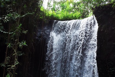 Photo of Beautiful waterfall, green plants and lianas in tropical forest