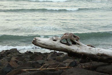 Photo of Stones and snag on beach near wavy sea