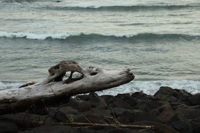 Photo of Stones and snag on beach near wavy sea