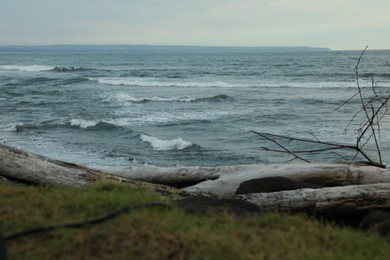 Photo of Snag on beautiful beach near wavy sea
