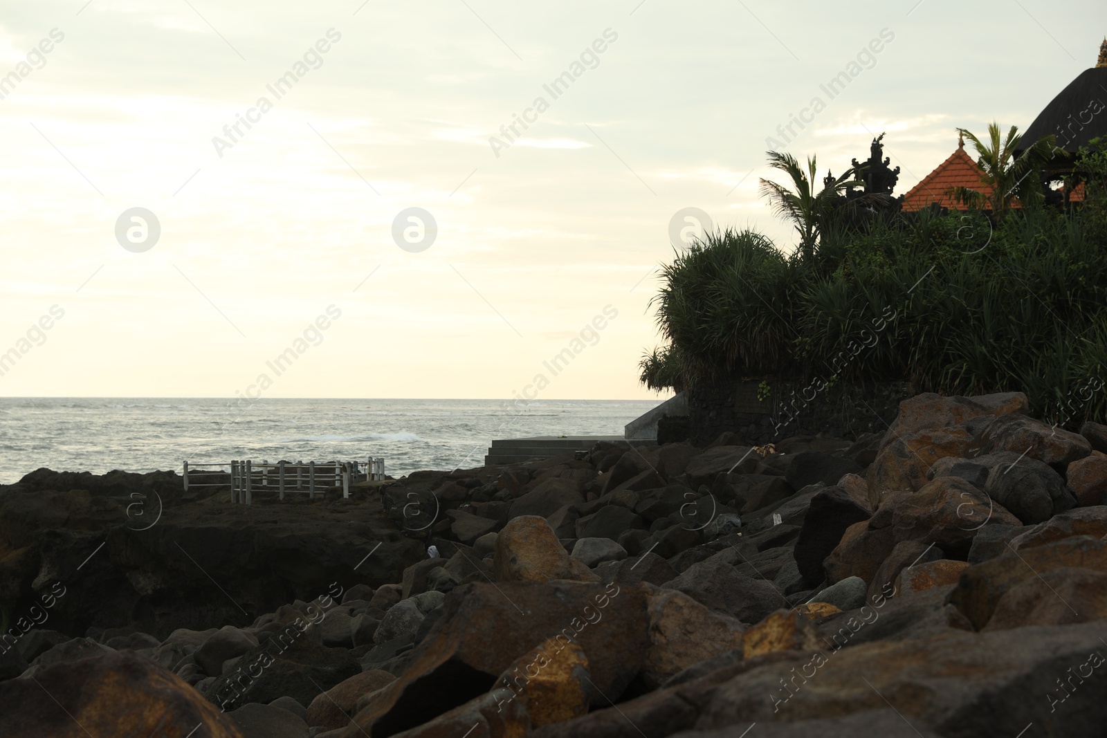 View of beautiful wavy sea, rocky beach and green plants Photo of View of beautiful wavy sea, rocky beach and green plants