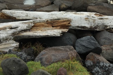Photo of Many different stones and snags outdoors, closeup
