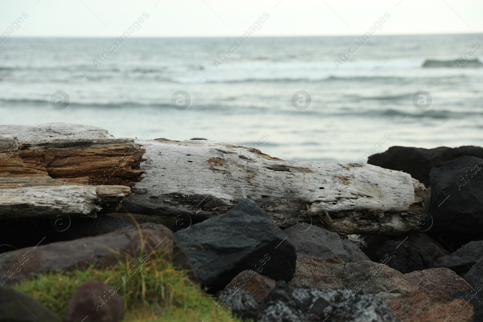 Snag on rocky beach near wavy sea, closeup Photo of Snag on rocky beach near wavy sea, closeup