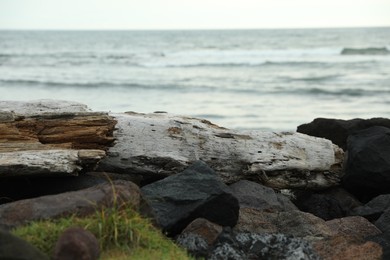 Photo of Snag on rocky beach near wavy sea, closeup