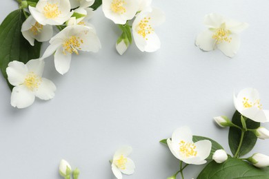 Photo of Beautiful jasmine flowers with leaves on light background, flat lay. Space for text