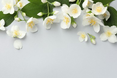 Photo of Beautiful jasmine flowers with leaves on light background, flat lay. Space for text