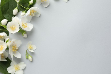Photo of Beautiful jasmine flowers with leaves on light background, flat lay. Space for text