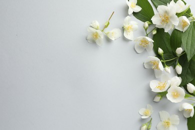 Photo of Beautiful jasmine flowers with leaves on light background, flat lay. Space for text
