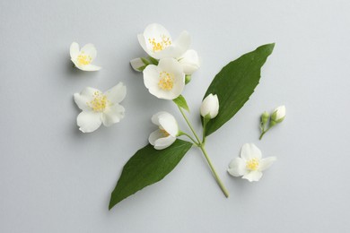 Photo of Beautiful jasmine flowers with leaves on light background, flat lay