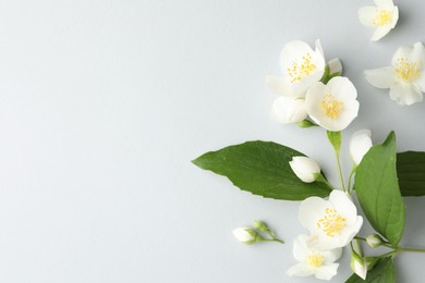Photo of Beautiful jasmine flowers with leaves on light background, flat lay. Space for text
