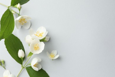 Photo of Beautiful jasmine flowers with leaves on light background, flat lay. Space for text