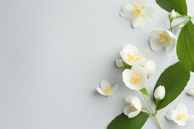 Photo of Beautiful jasmine flowers with leaves on light background, flat lay. Space for text