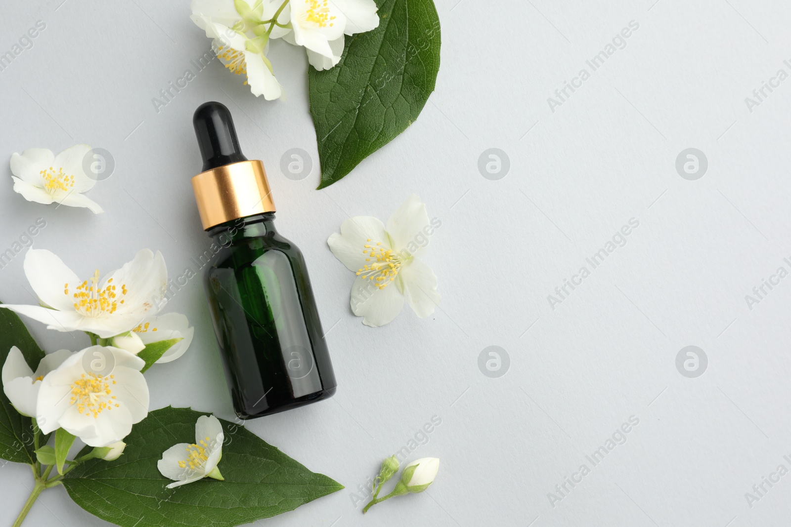 Cosmetic product and jasmine flowers on light background, flat lay. Space for text Photo of Cosmetic product and jasmine flowers on light background, flat lay. Space for text