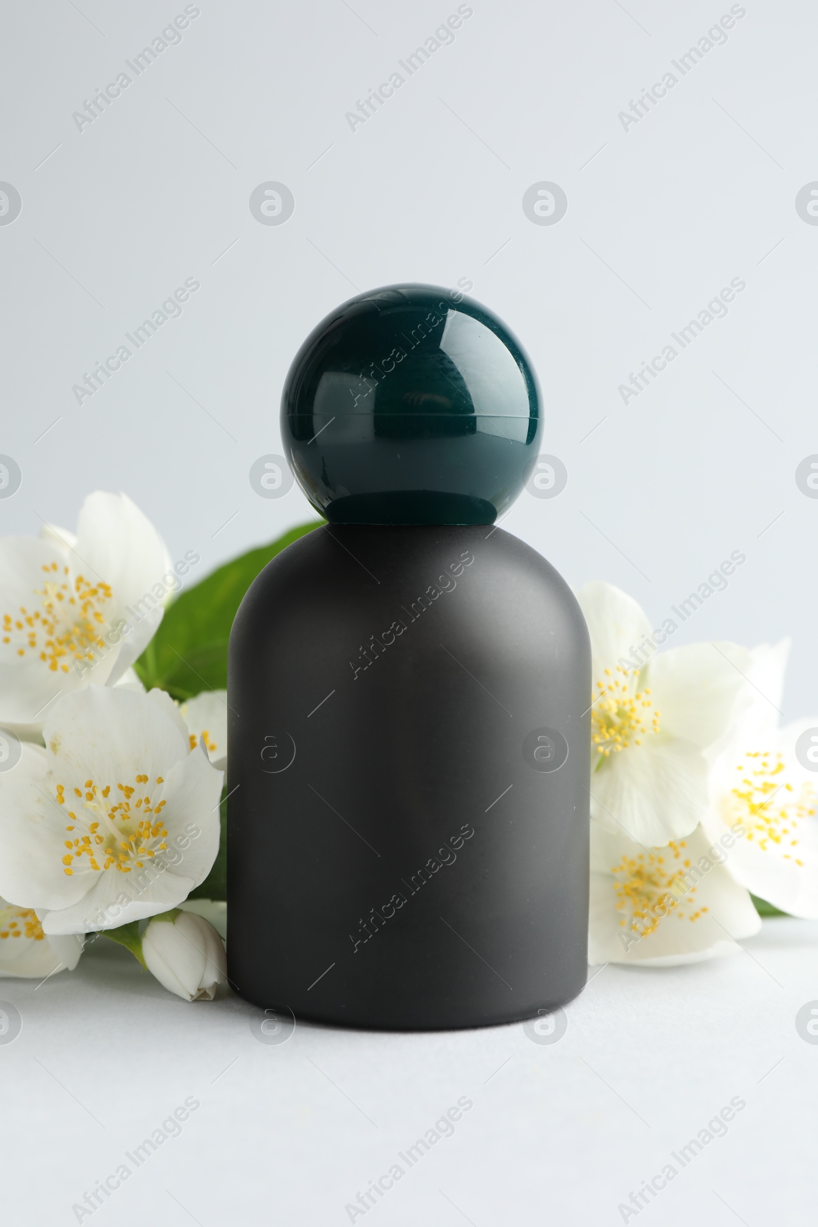 Bottle of perfume and jasmine flowers on light background, closeup Photo of Bottle of perfume and jasmine flowers on light background, closeup