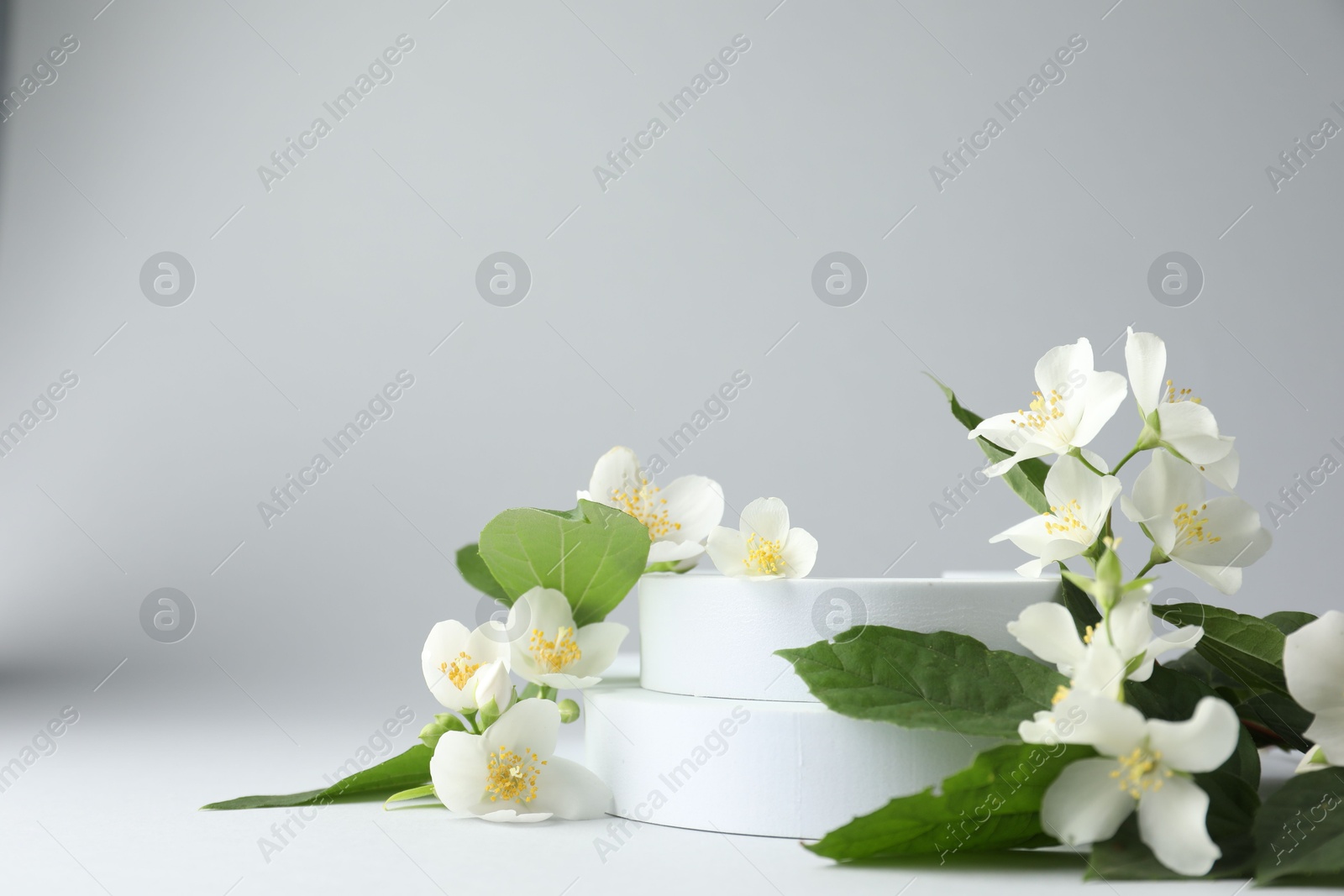 Beautiful jasmine flowers with leaves on light background Photo of Beautiful jasmine flowers with leaves on light background
