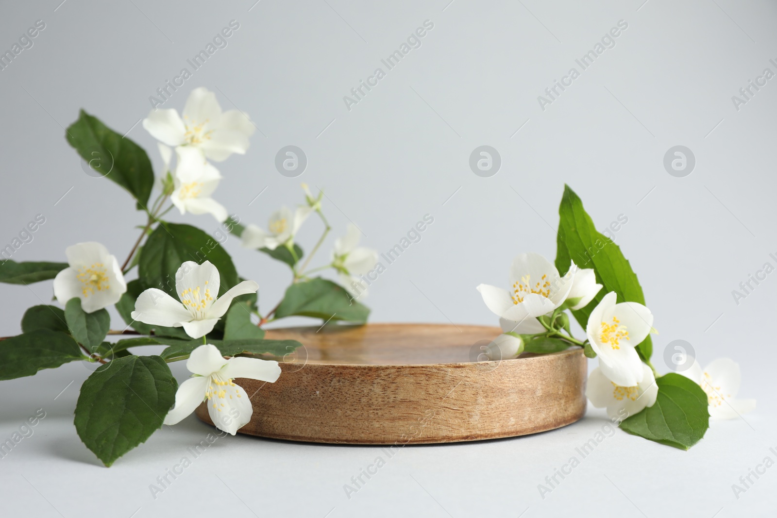 Beautiful jasmine flowers with leaves on light background. Space for text Photo of Beautiful jasmine flowers with leaves on light background. Space for text