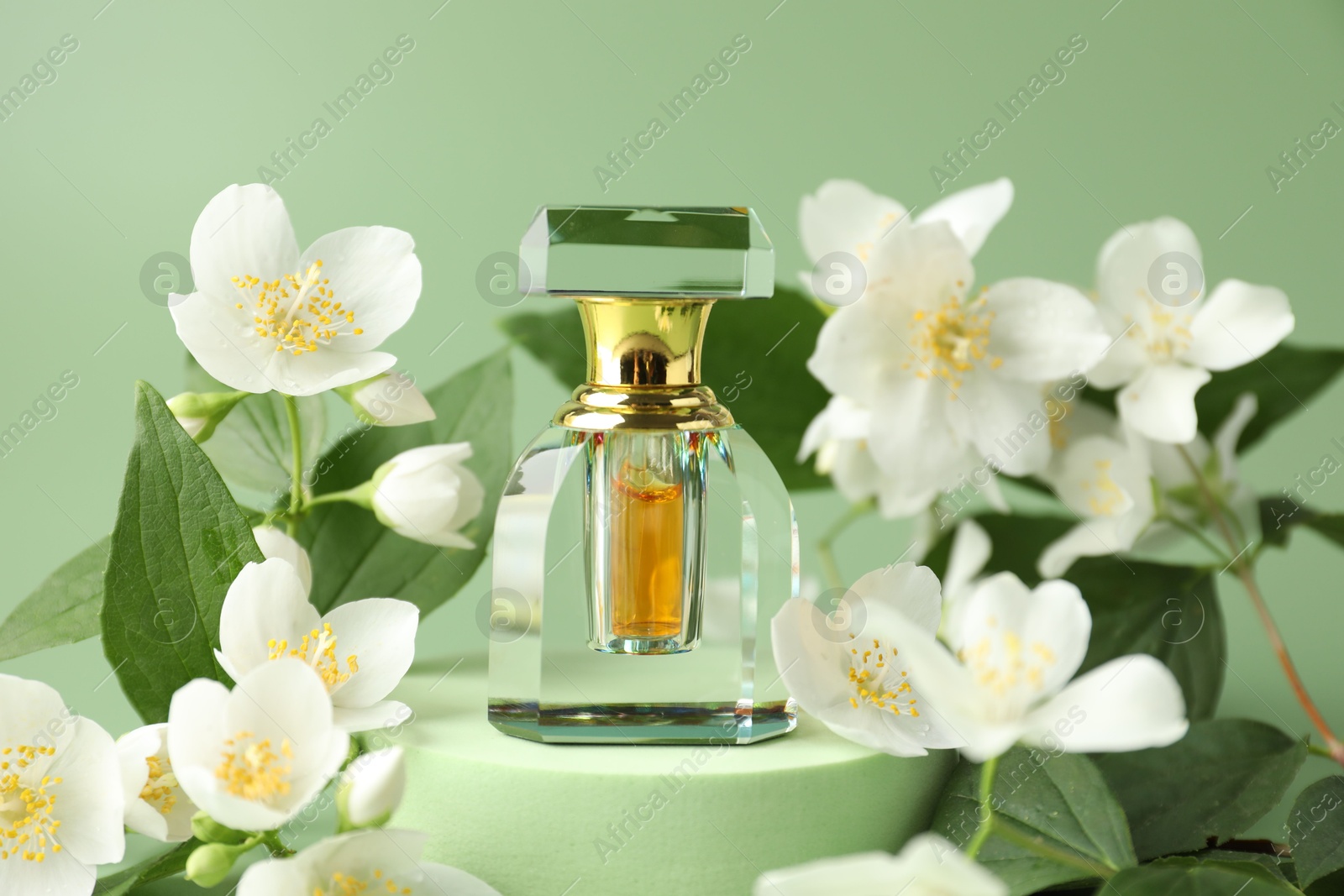 Bottle of perfume and jasmine flowers on green background, closeup Photo of Bottle of perfume and jasmine flowers on green background, closeup