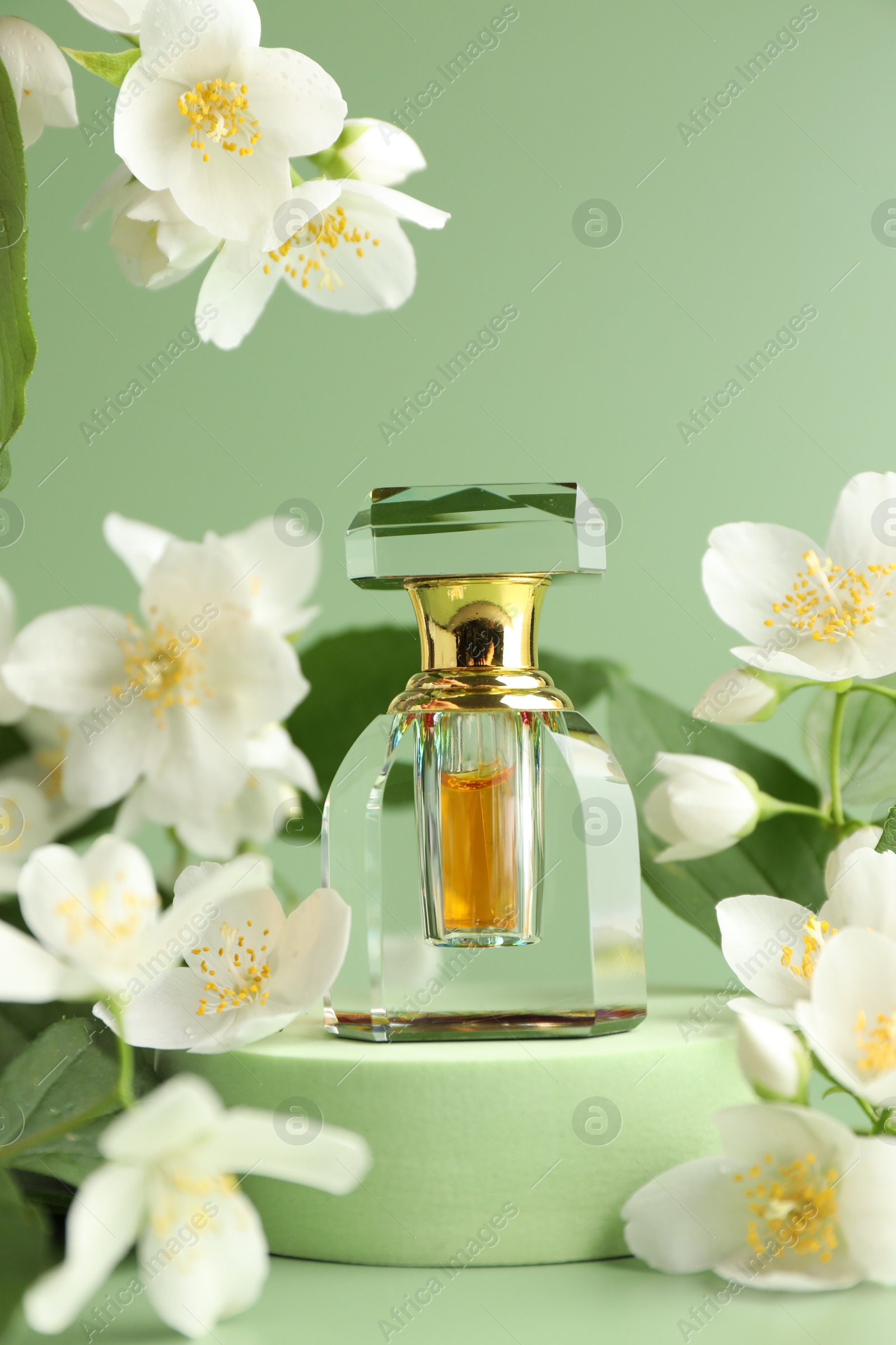 Bottle of perfume and jasmine flowers on green background, closeup Photo of Bottle of perfume and jasmine flowers on green background, closeup