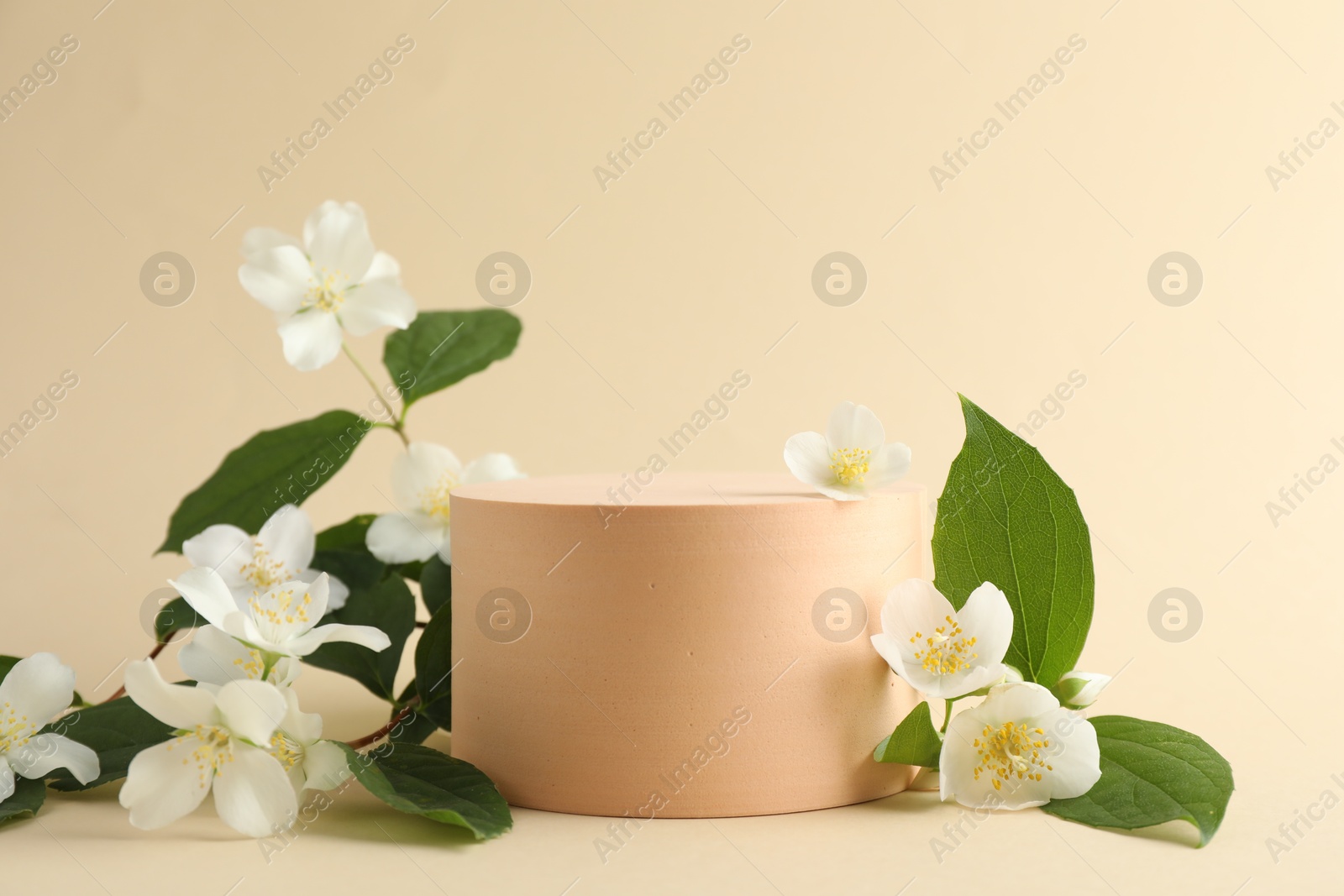 Beautiful jasmine flowers with leaves on beige background. Space for text Photo of Beautiful jasmine flowers with leaves on beige background. Space for text