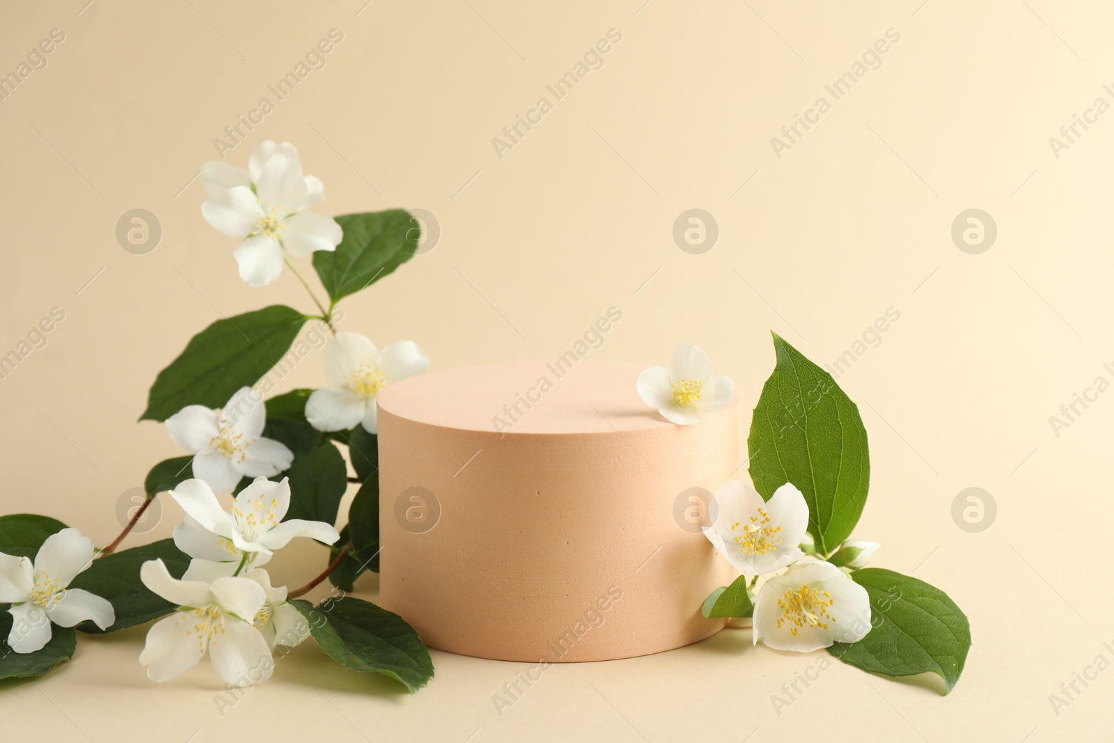 Beautiful jasmine flowers with leaves on beige background. Space for text Photo of Beautiful jasmine flowers with leaves on beige background. Space for text