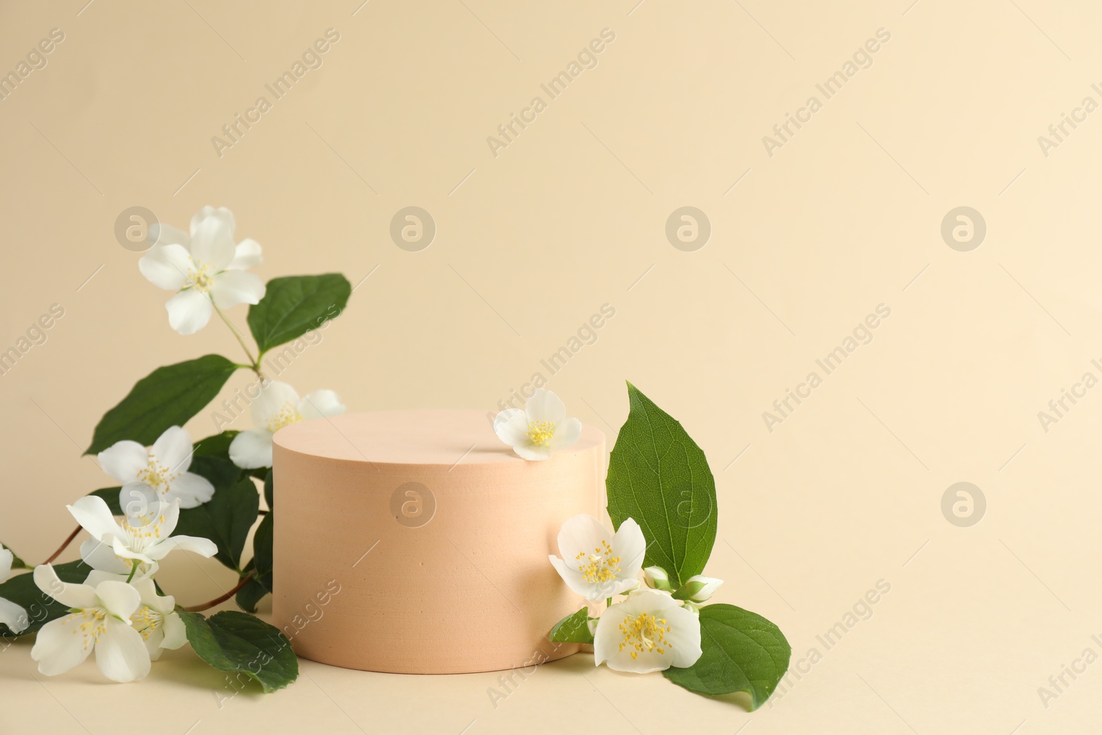 Beautiful jasmine flowers with leaves on beige background. Space for text Photo of Beautiful jasmine flowers with leaves on beige background. Space for text