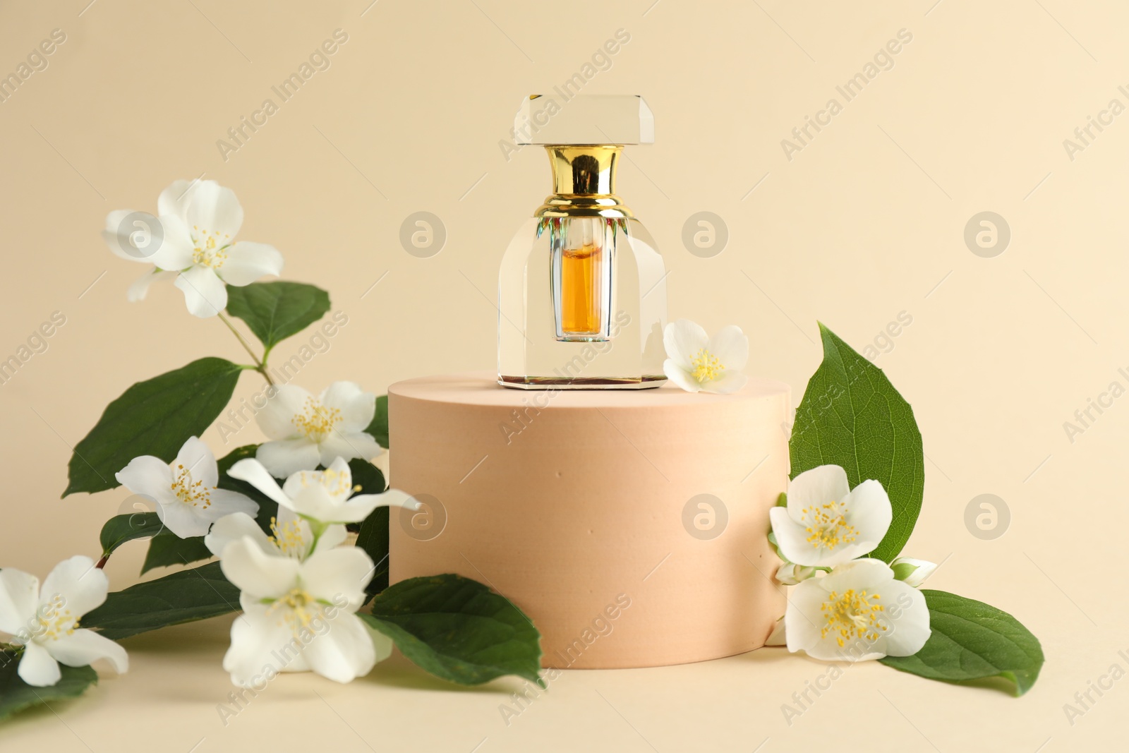 Bottle of perfume and jasmine flowers on beige background Photo of Bottle of perfume and jasmine flowers on beige background