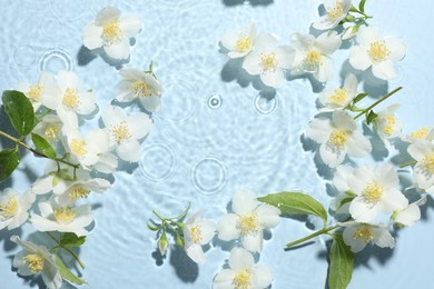 Photo of Beautiful jasmine flowers in water on light blue background, flat lay