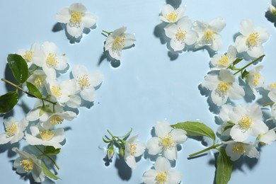 Photo of Beautiful jasmine flowers in water on light blue background, flat lay