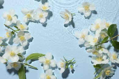 Photo of Beautiful jasmine flowers in water on light blue background, flat lay