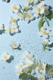 Photo of Beautiful jasmine flowers in water on light blue background, flat lay