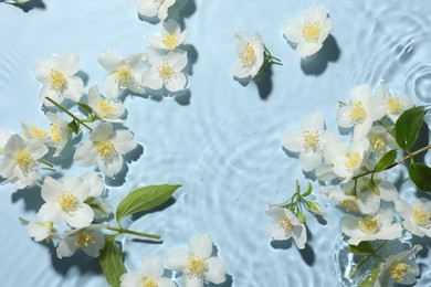 Photo of Beautiful jasmine flowers in water on light blue background, flat lay