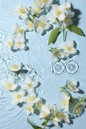 Photo of Beautiful jasmine flowers in water on light blue background, flat lay