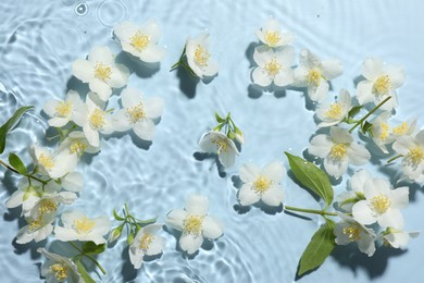 Photo of Beautiful jasmine flowers in water on light blue background, flat lay