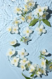Photo of Beautiful jasmine flowers in water on light blue background, flat lay