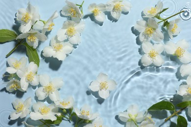 Photo of Beautiful jasmine flowers in water on light blue background, flat lay