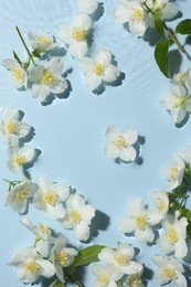 Photo of Beautiful jasmine flowers in water on light blue background, flat lay