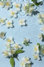 Photo of Beautiful jasmine flowers in water on light blue background, flat lay