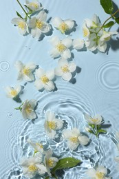 Photo of Beautiful jasmine flowers in water on light blue background, flat lay