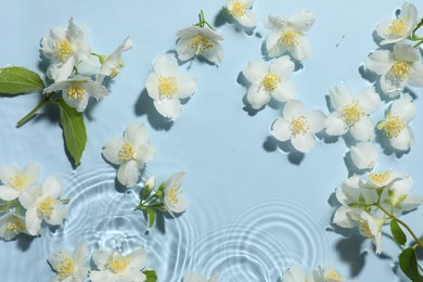 Photo of Beautiful jasmine flowers in water on light blue background, flat lay