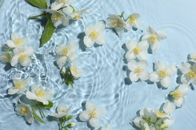 Photo of Beautiful jasmine flowers in water on light blue background, flat lay