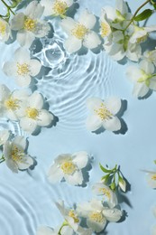 Photo of Beautiful jasmine flowers in water on light blue background, flat lay