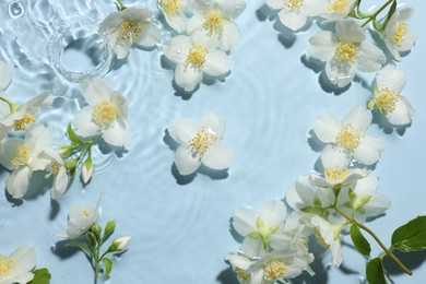 Photo of Beautiful jasmine flowers in water on light blue background, flat lay