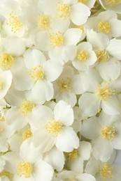 Photo of Beautiful jasmine flowers as background, top view